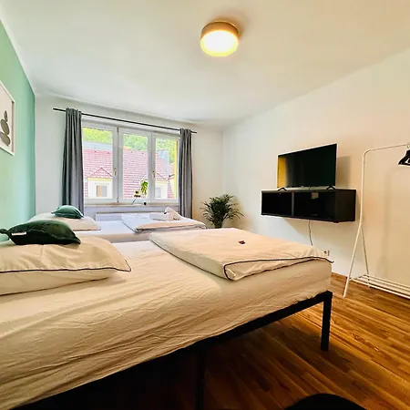 Green Room Διαμέρισμα Schottwien