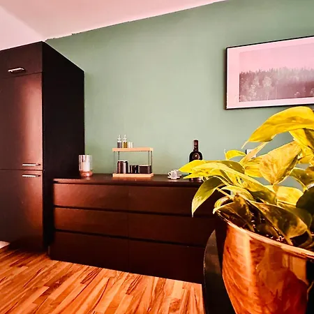 Διαμέρισμα Green Room Schottwien